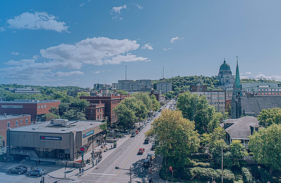 Côte-des-Neiges sector